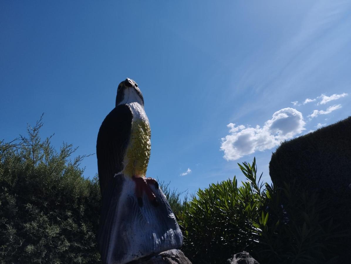 Posada Del Moral Benaoján Esterno foto